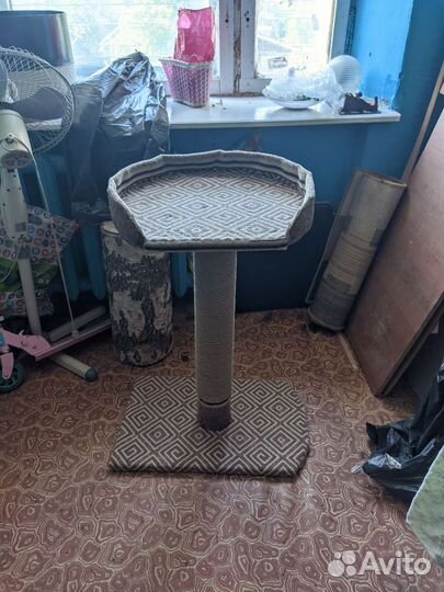 Когтеточка