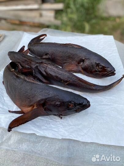 Терпуг горячего копчения