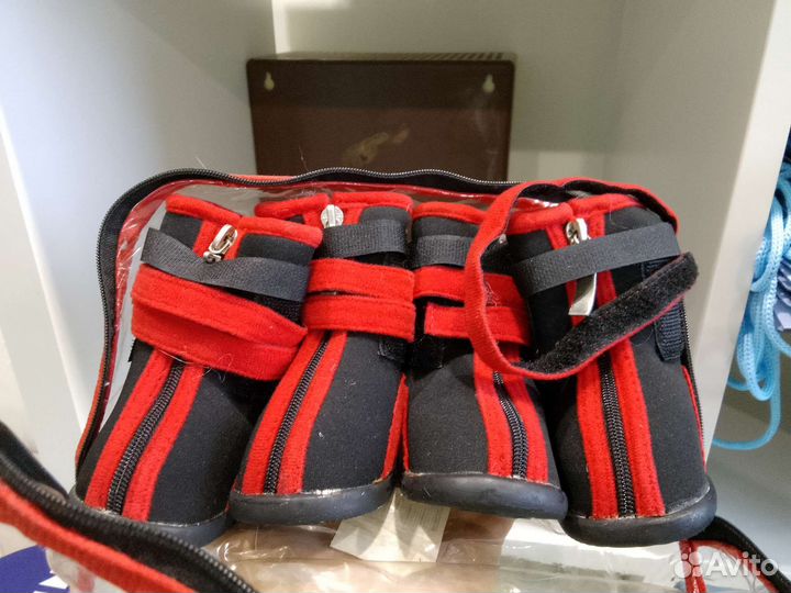 Ботинки для маленьких собак