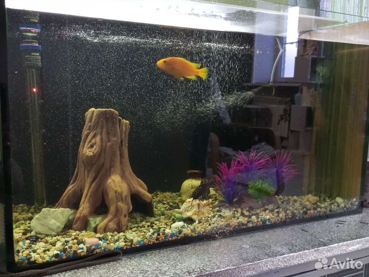 Аквариум