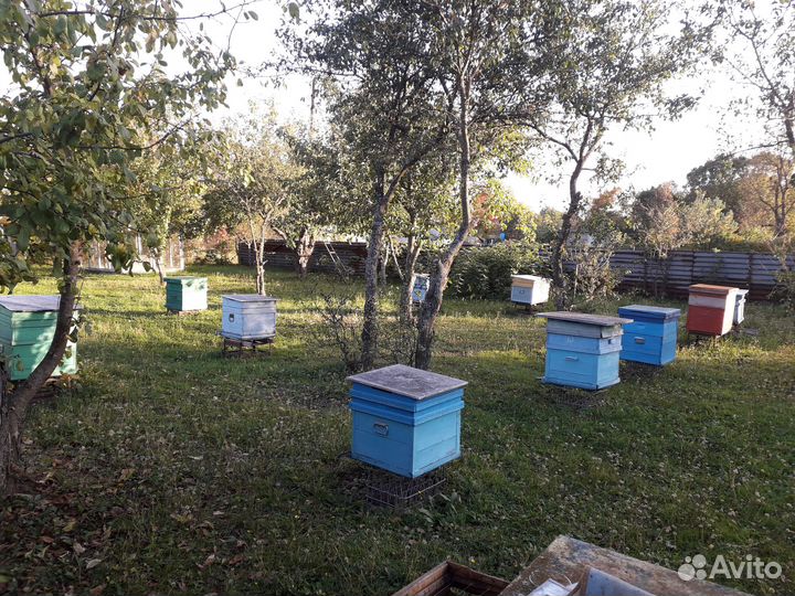 Ульи без пчел, рамки, магазины, медогонка