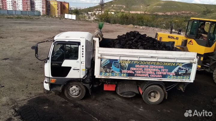 Уголь балахта (сорт, орех, семечка). Доставка