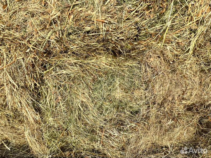 Сено,стружка, опил