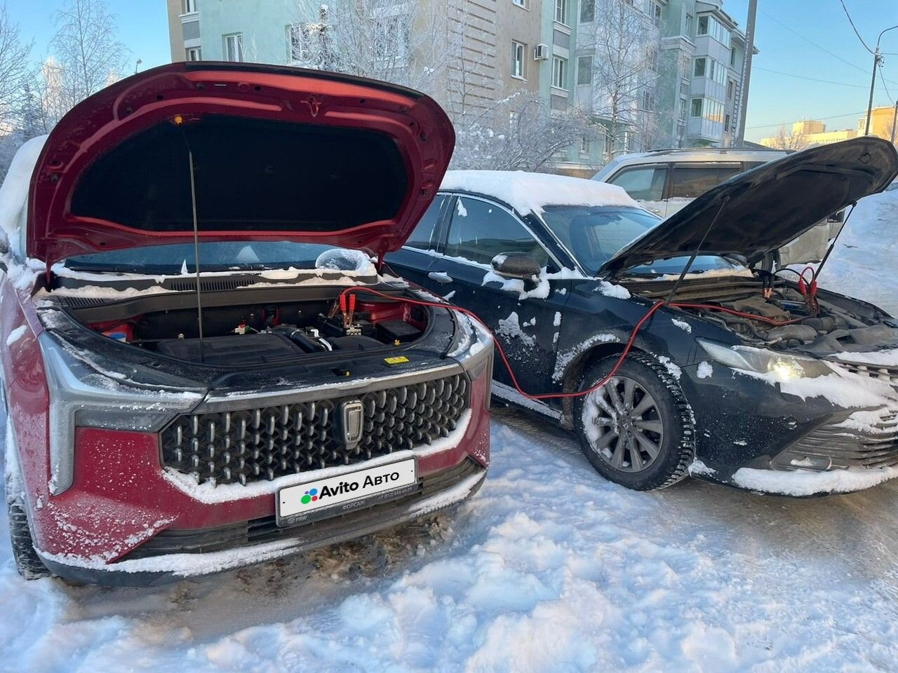 FAW Bestune T55: фото владельца