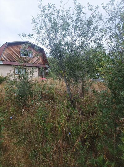 Участок 4,8 сот. (СНТ, ДНП)