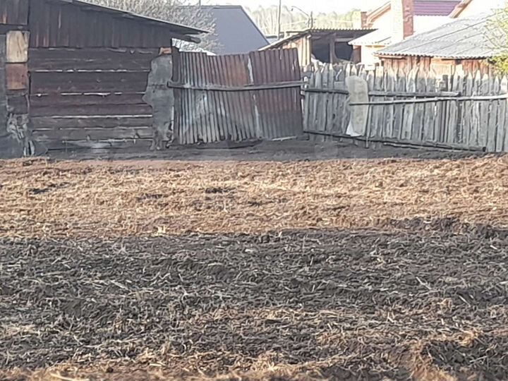 Участок 14 сот. (ИЖС)