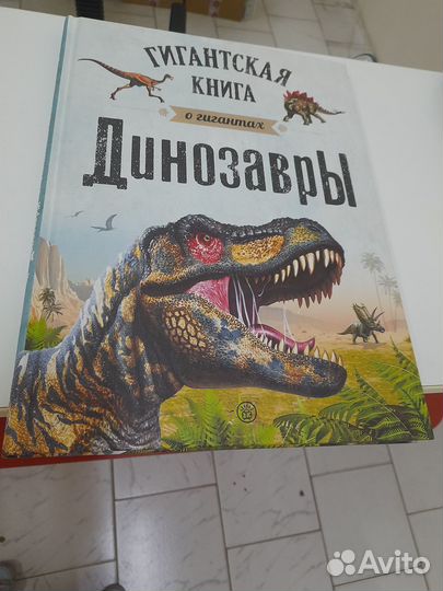 Книга 