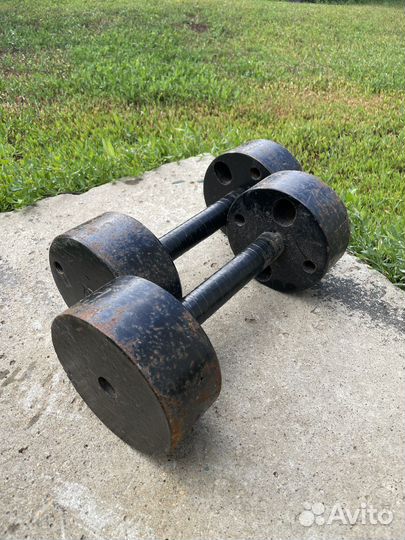 Гантели СССР 12 кг