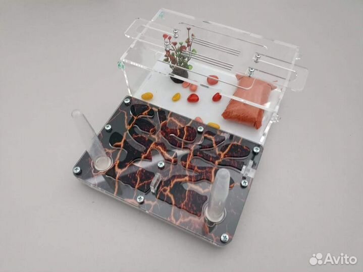 Муравьиная ферма с доставкой по РФ и муравьями