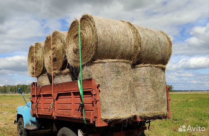 Сено в рулонах