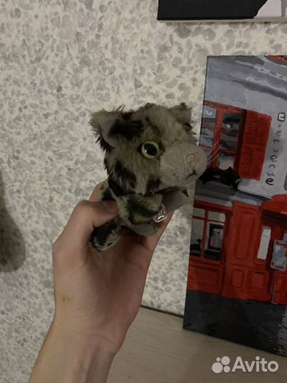 Коллекционные коты с журналами