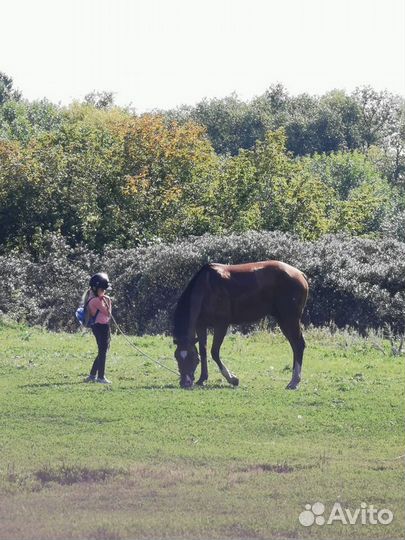Бриджи для верховой езды детские