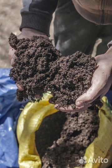 Навоз чернозем в мешках
