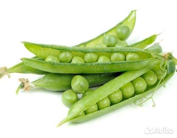 Горошек стручковый