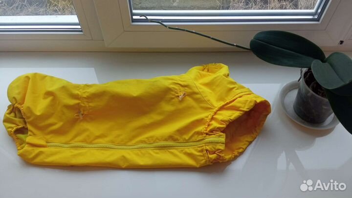 Комбинезон на собаку (корги). Торг уместен