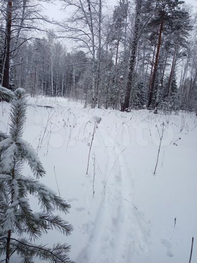 Участок 15 сот. (СНТ, ДНП)