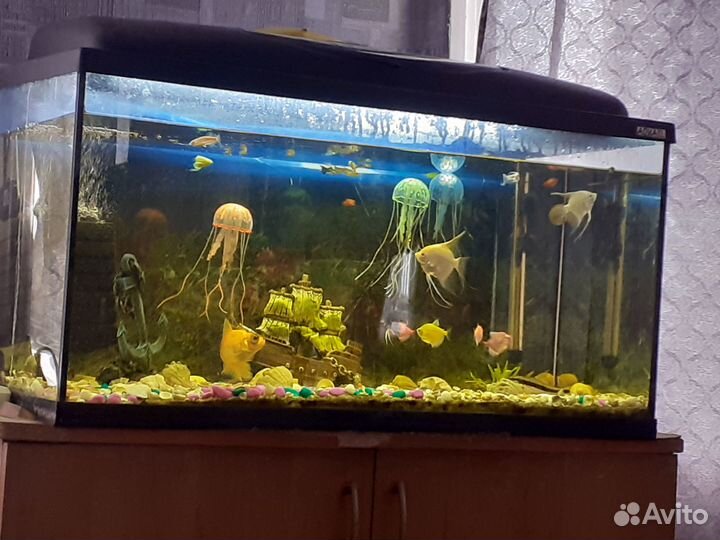 Аквариум