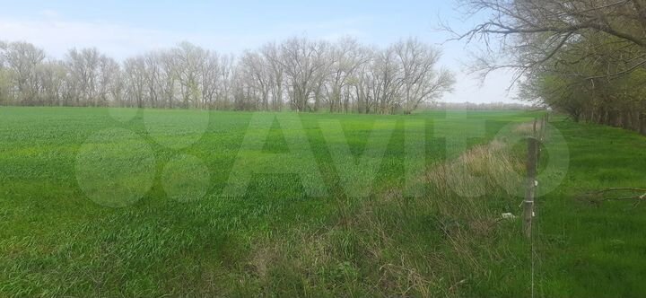 Участок 9,6 га (СНТ, ДНП)