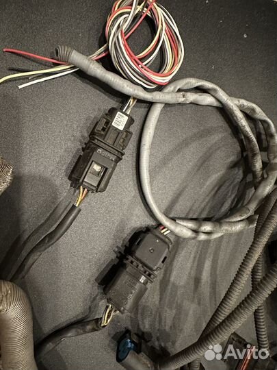 Проводка двигателя BMW n52b25af на лямбда зонды