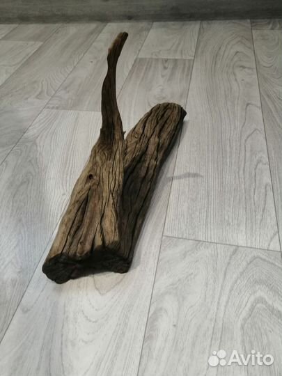 Грот для самов