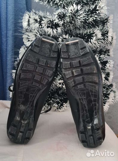 Лыжные ботинки spine