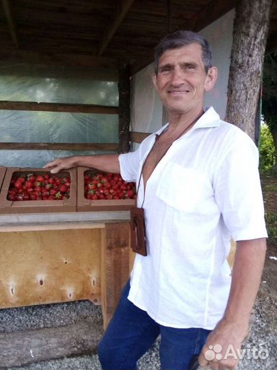 Массаж оздоровительный