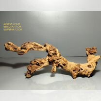 Коряга Bell Wood мангровая коряга 37*12*17 вк507, Зеленоград