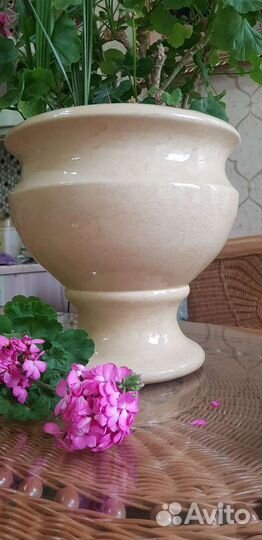 Герани в большом вазоне