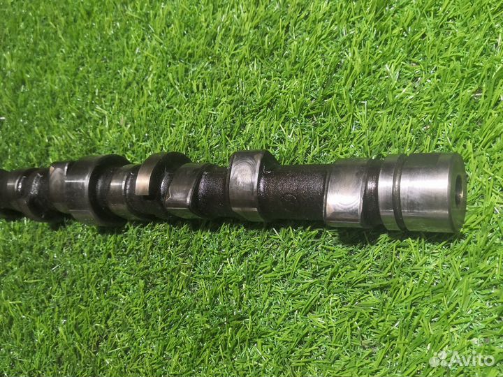 Распредвал Skoda Fabia 1 AZE