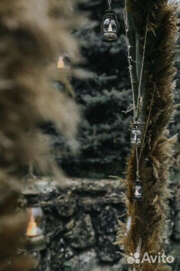 Тростник, камыш для декора фотозоны, интерьера