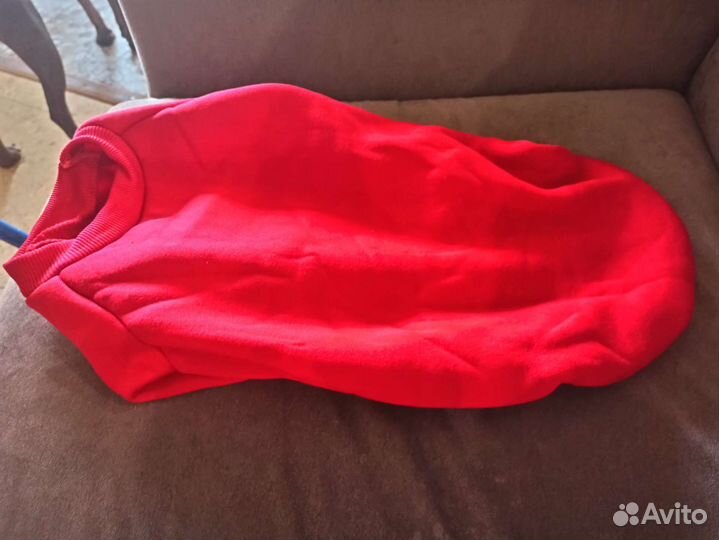 Одежда для собак мелких пород