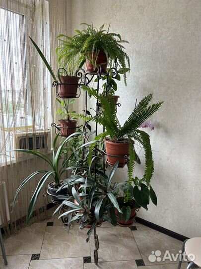 Подставка для цветов,кованная