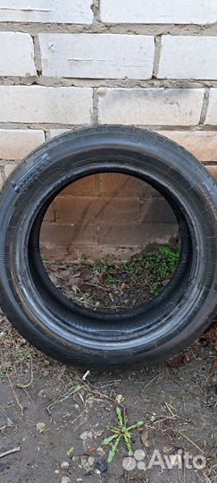 Pirelli Cinturato P1 Verde 185/55 R15