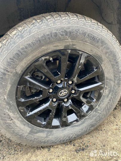 Nord Wolf Cargo 65/75 R30.5