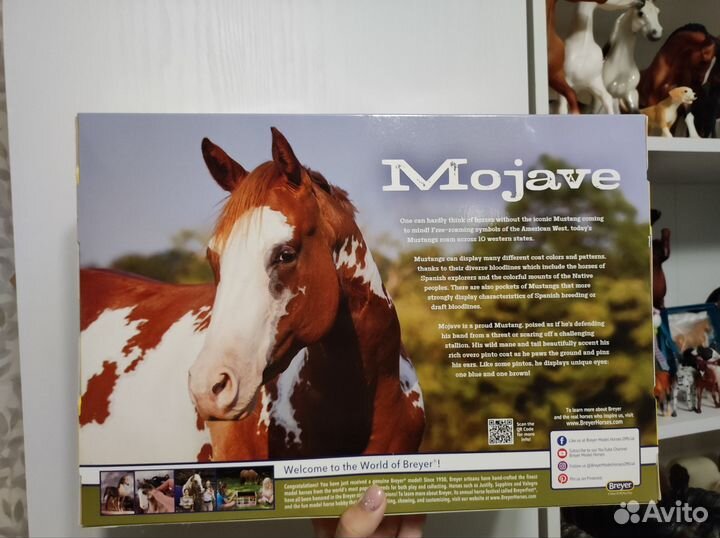 Breyer Mojave