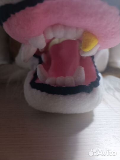 Фурсьют собака