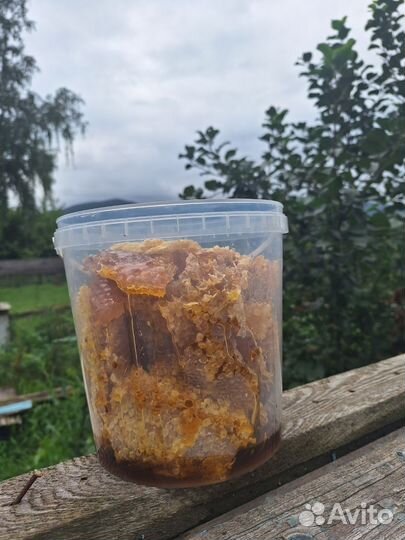 Мед, забрус, перга, прополис. Алтай