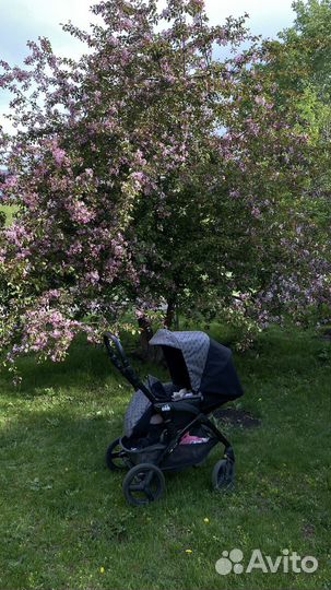 Коляска 2 в 1 Cam dinamico up