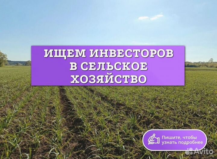 Прибыльный бизнес гарантированный доход