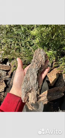 Мульча, сосновая кора,кора сосны,декор