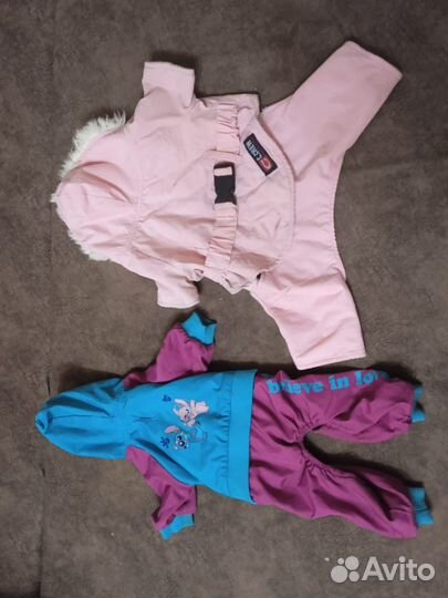 Комбинезон для собак