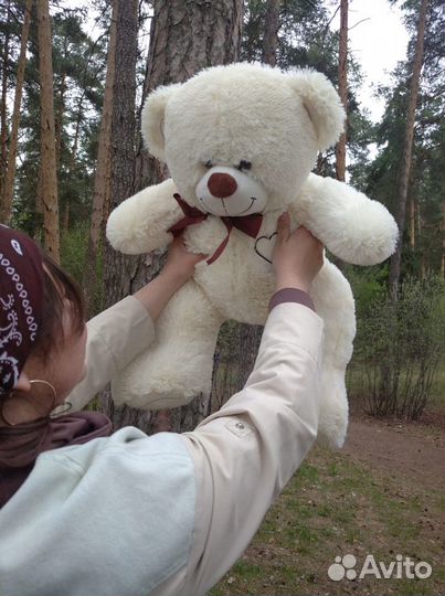 Плюшевый мишка