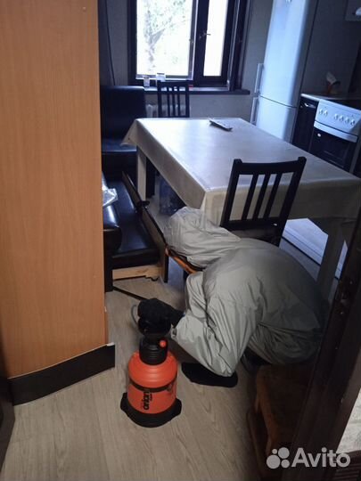 Дезинфекция: уничтожение тараканов, клопов, мышей