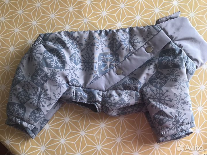 Одежда для собак