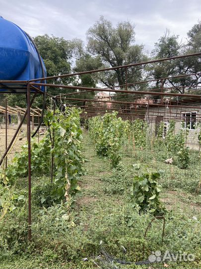 Парники теплицы бу