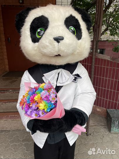 Аниматоры в костюме Зайки и Панды