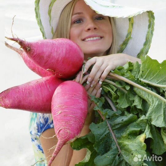 Дайкон красный