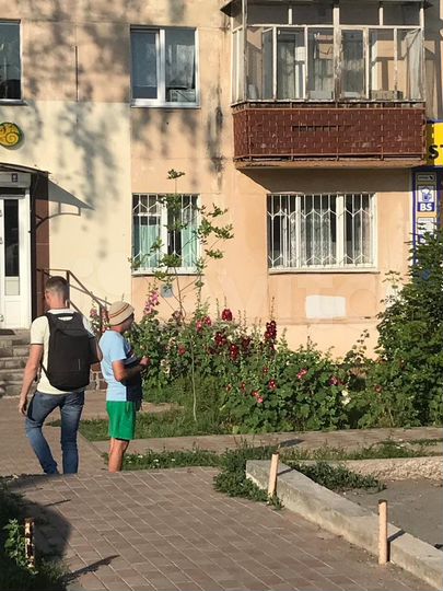 1-к. квартира, 31 м², 1/5 эт.