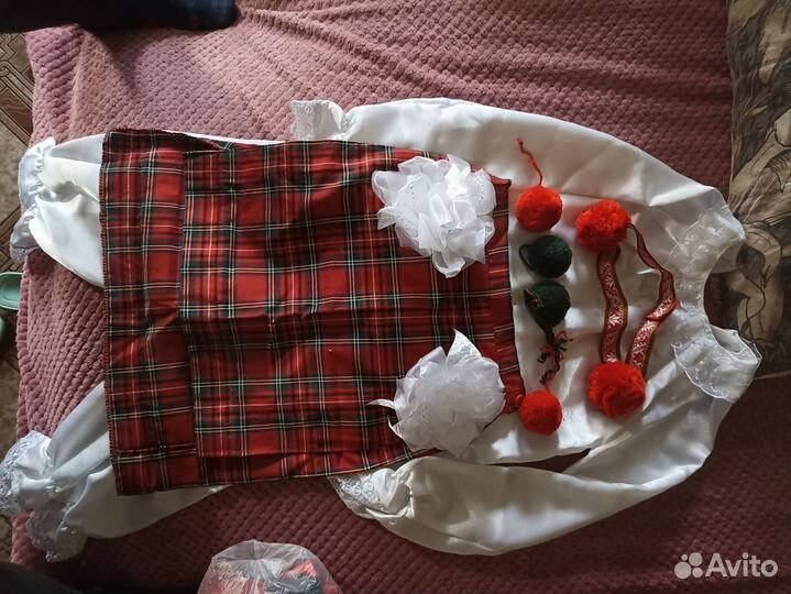 Костюм Шотландии