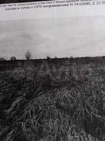 Участок 7 га (СНТ, ДНП)